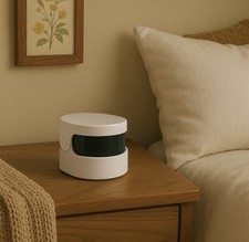 Sonic Denture Cleaner Dentures